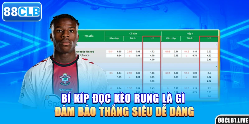 Bí kíp đọc kèo rung là gì đảm bảo thắng siêu dễ dàng